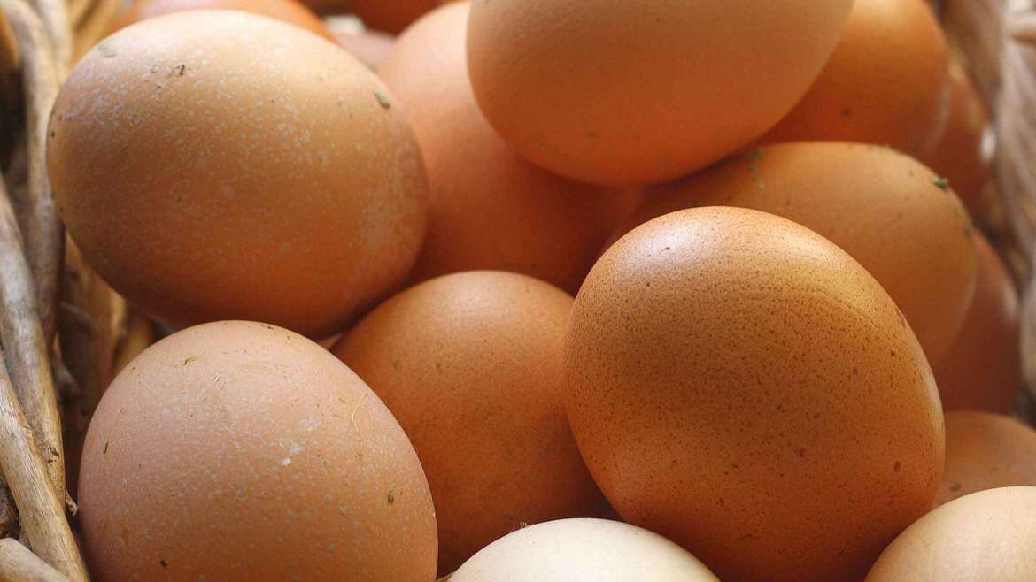 Pastured Eggs